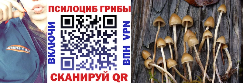 Галлюциногенные грибы GOLDEN TEACHER МЕГА ONION Перевоз